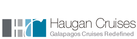 Haugan Cruises